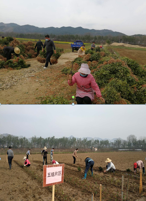 upay钱包下载-UPAY钱包(中国区) -【官方网站】