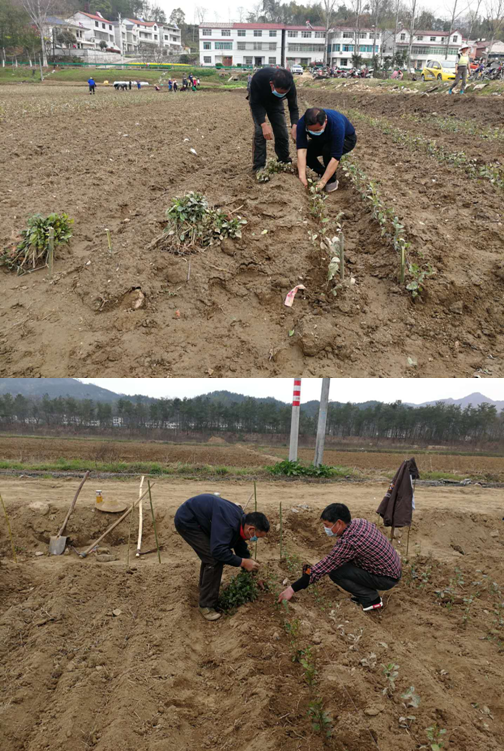 upay钱包下载-UPAY钱包(中国区) -【官方网站】